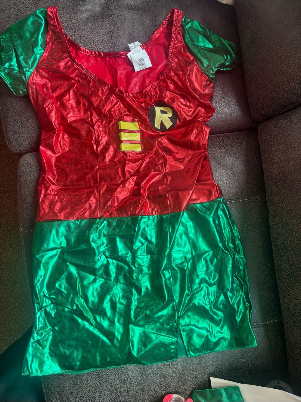 Rubie's Shiny Robin Dress Halloween Costume in Red and Green